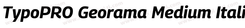 TypoPRO Georama Medium Italic字体转换